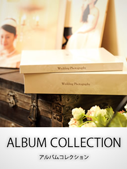 アルバムコレクション